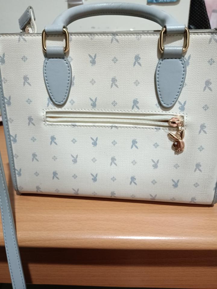 洗包包案件圖片