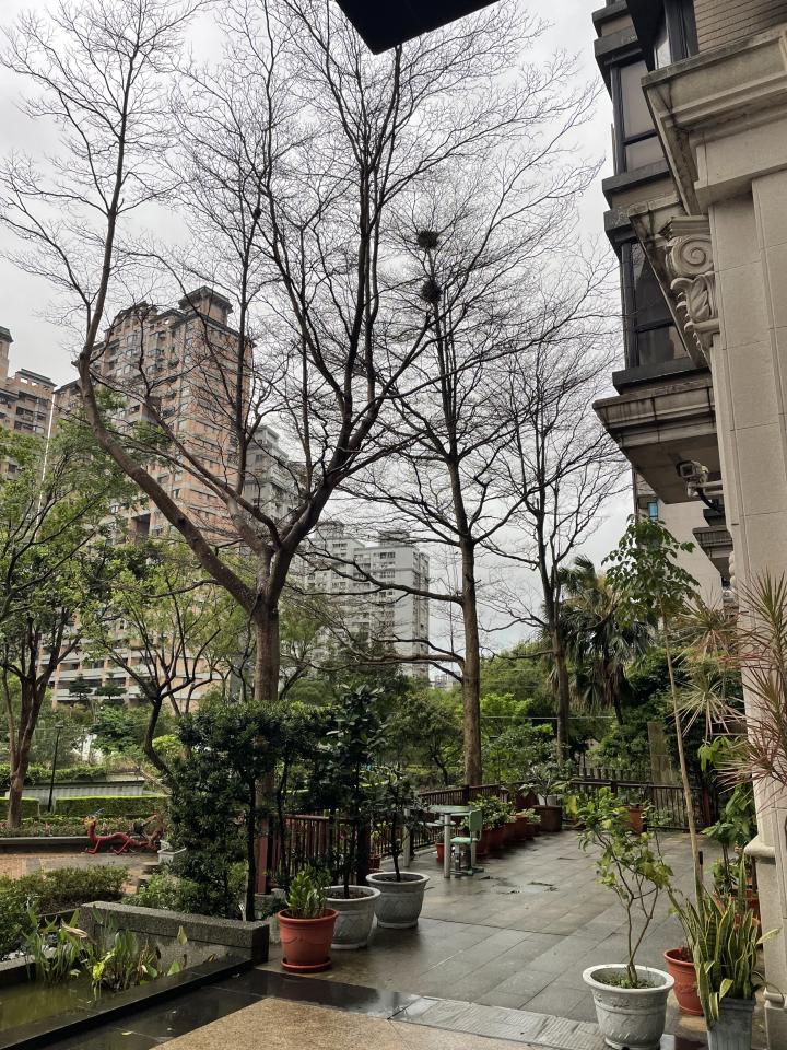 園藝維護案件圖片