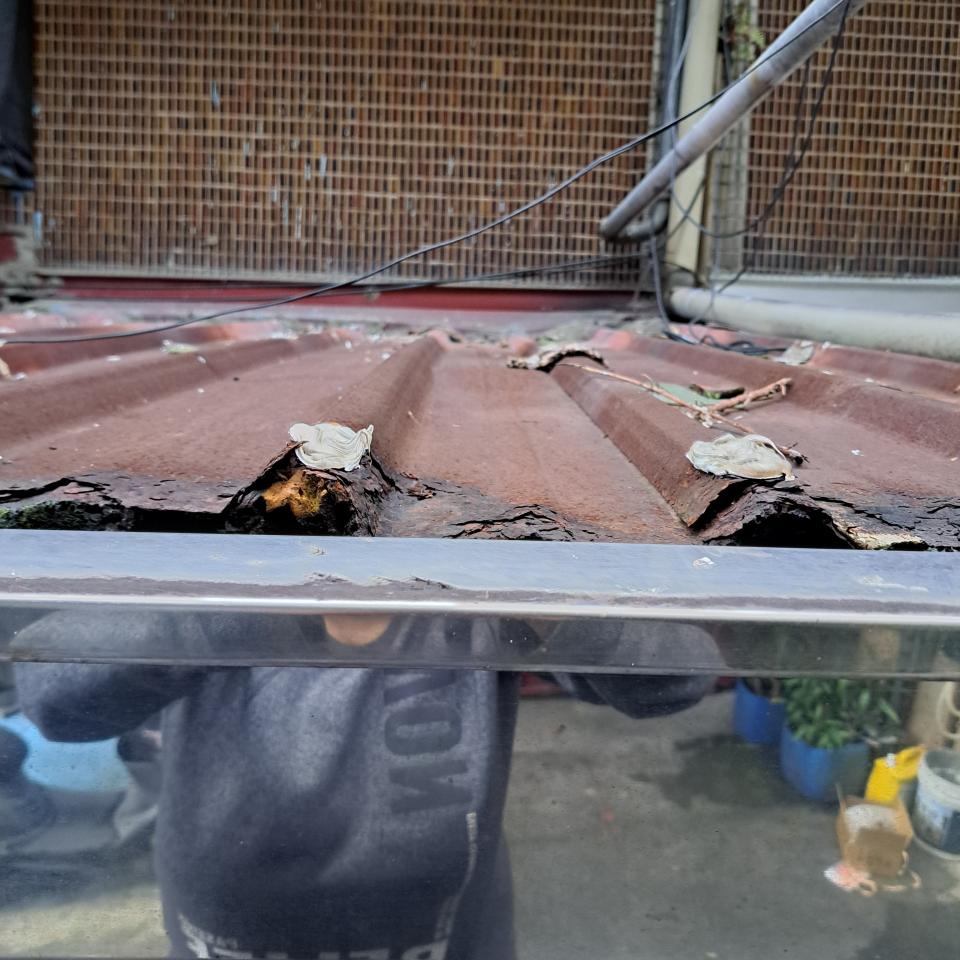 鐵皮屋頂案件圖片