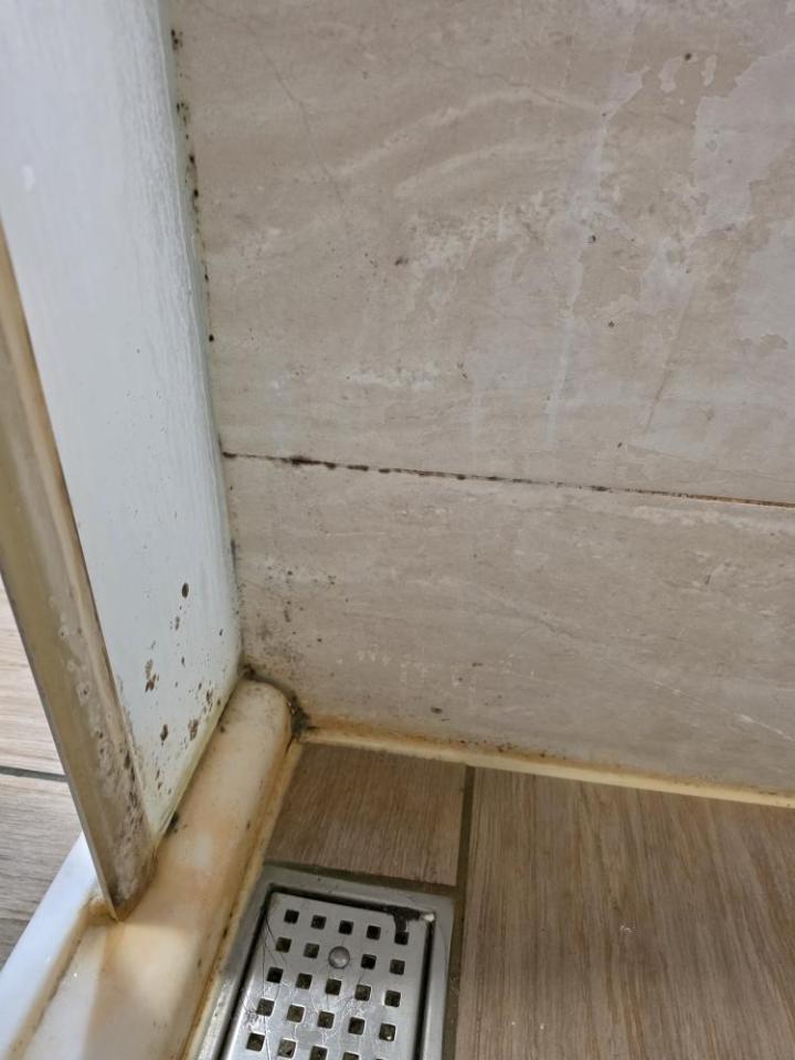 浴室除霉清潔案件圖片