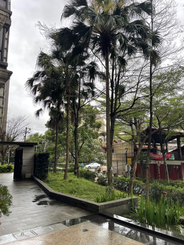 園藝維護案件圖片