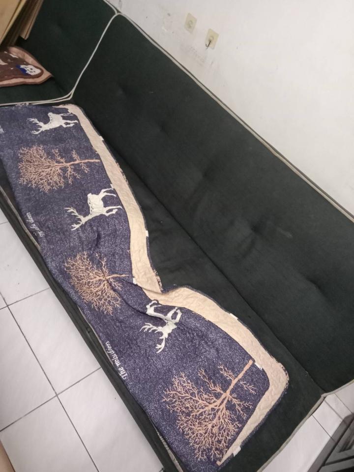 大型垃圾回收案件圖片