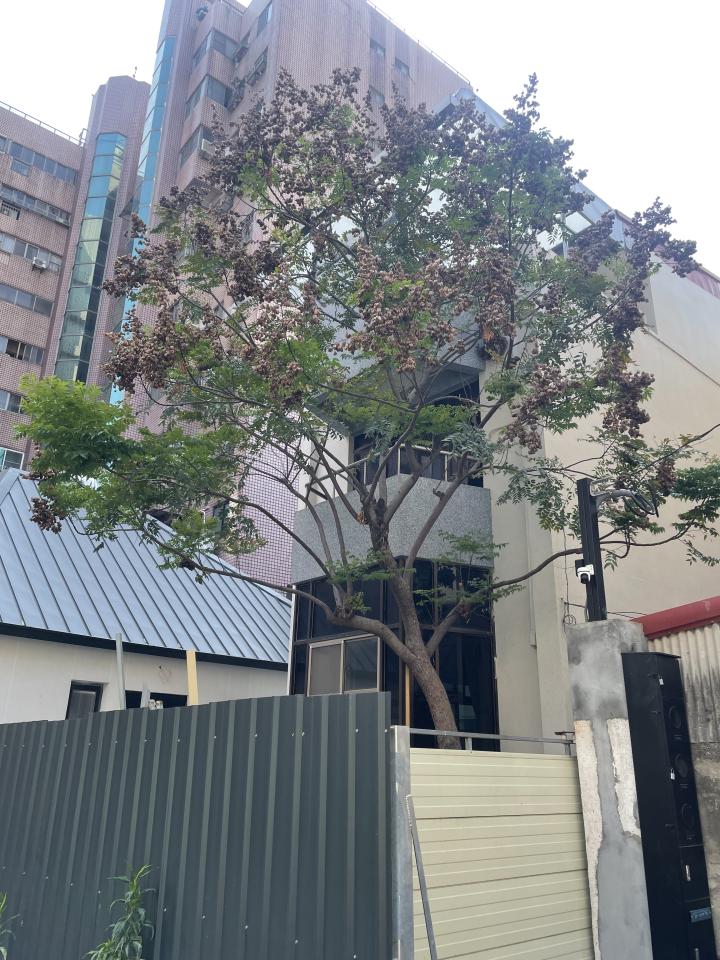 園藝維護案件圖片