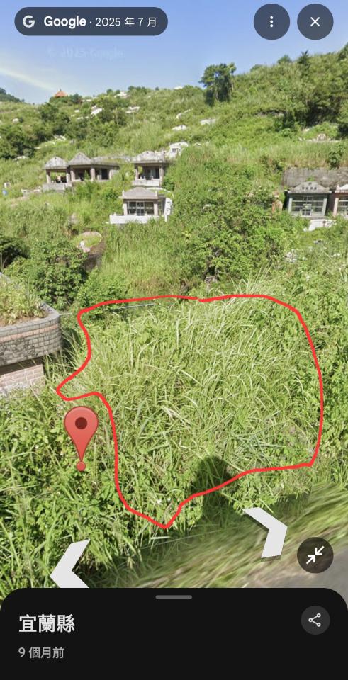 園藝維護案件圖片