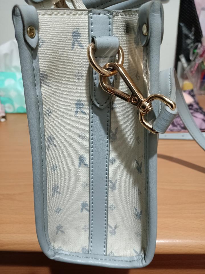 洗包包案件圖片