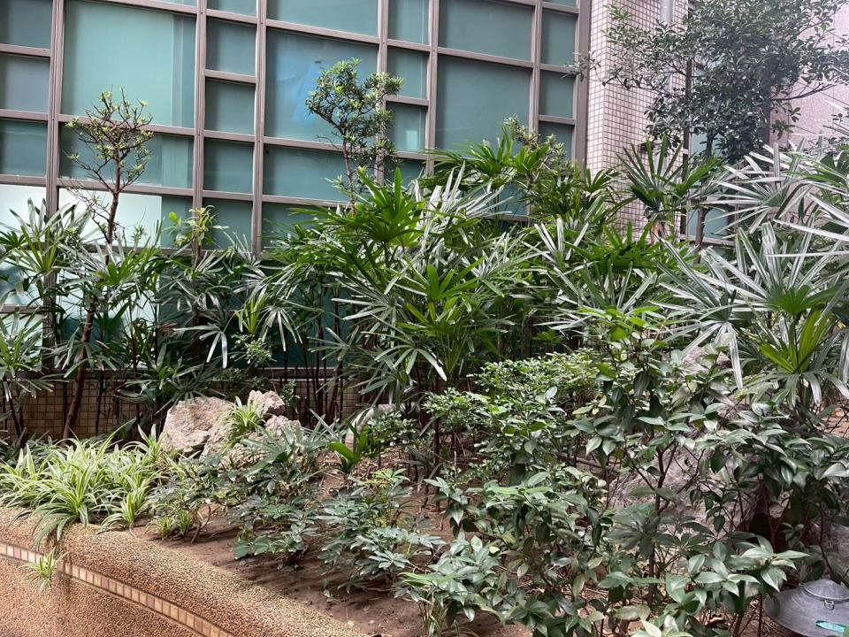 園藝維護案件圖片