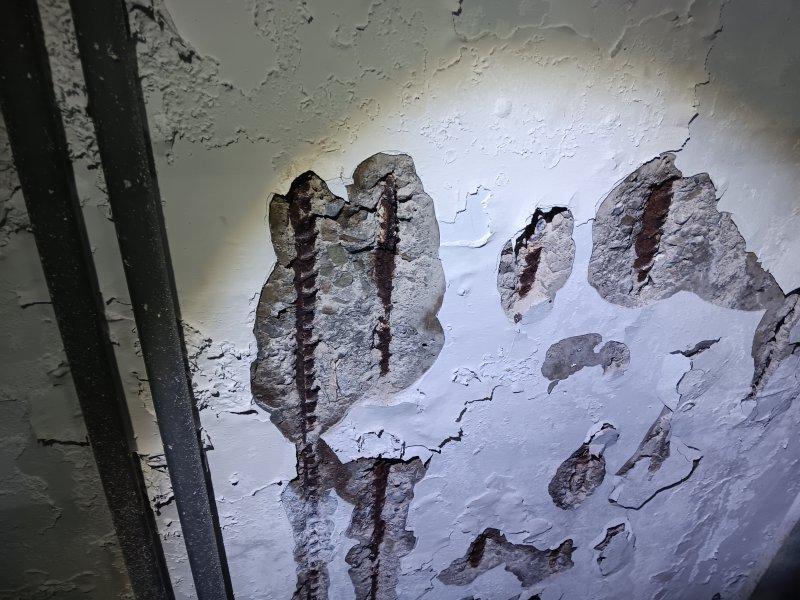 鋼筋外露處理案件圖片