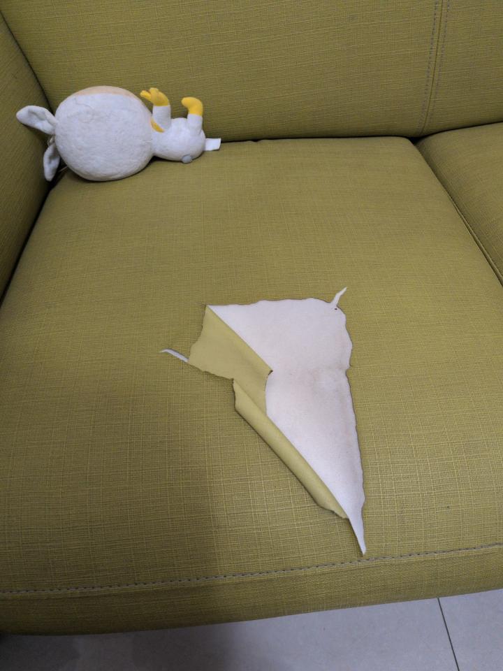 沙發修理案件圖片