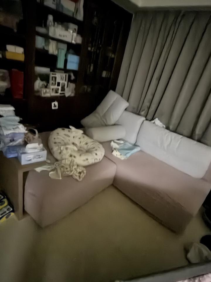 家具搬運案件圖片