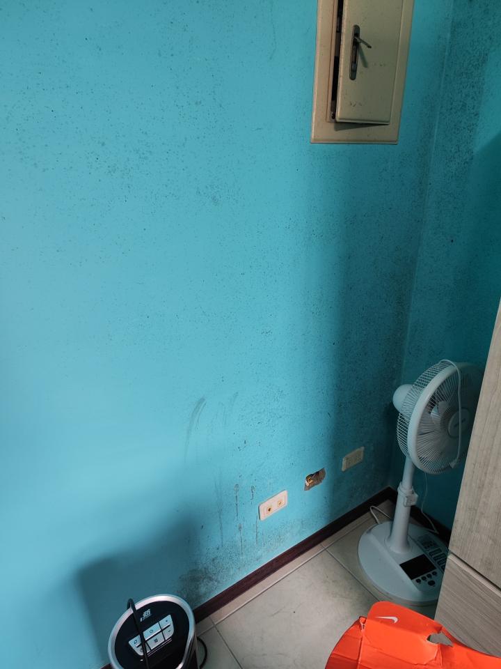 除霉案件圖片