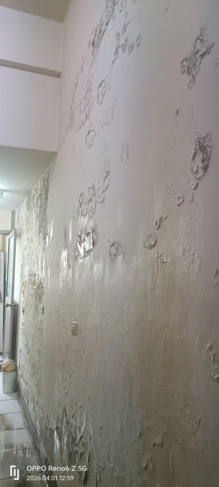 油漆工程案件圖片