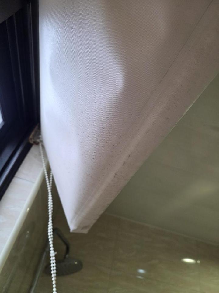 浴室除霉清潔案件圖片