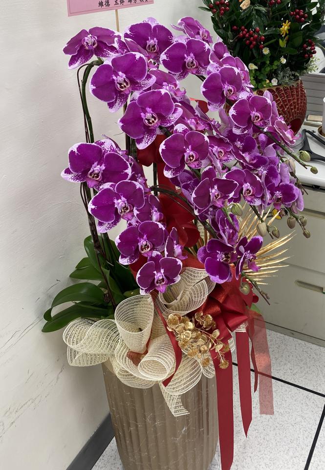 載貨運輸服務案件圖片