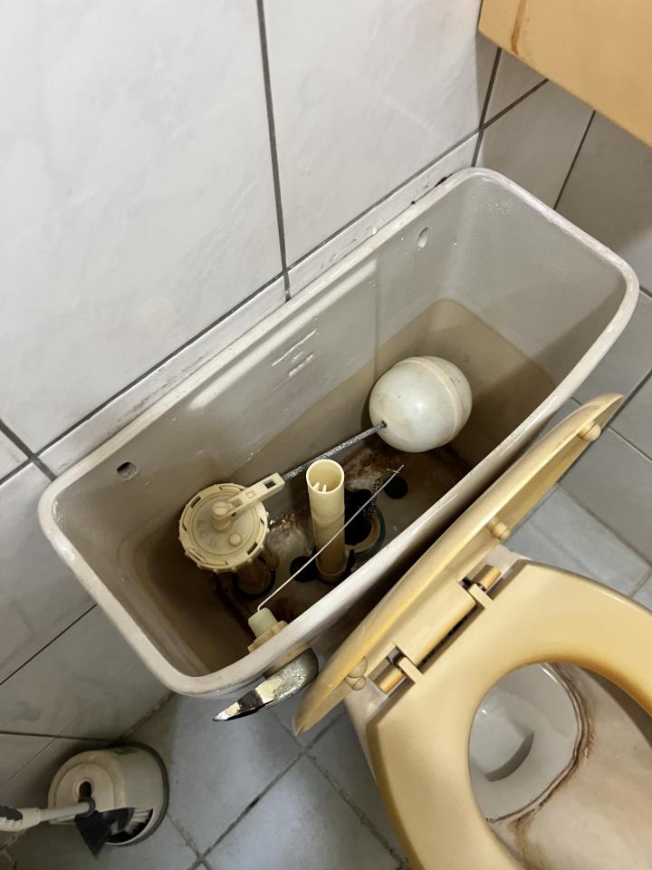 馬桶裝修案件圖片