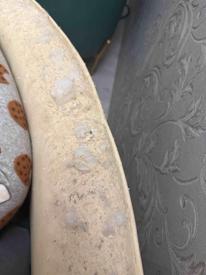 家具維修案件圖片