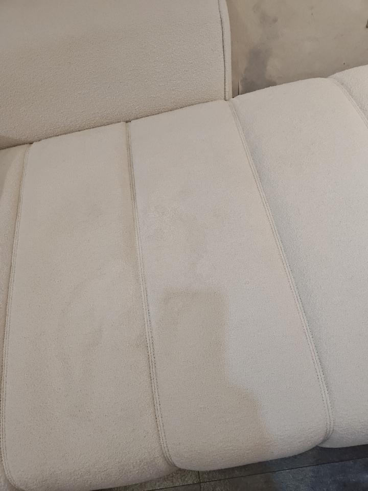 沙發清潔案件圖片