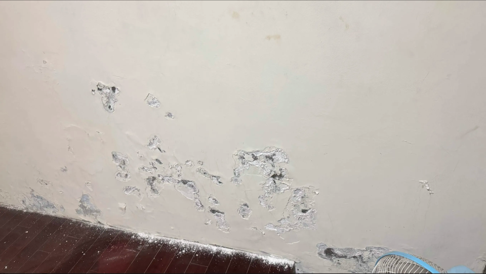 壁癌處理案件圖片