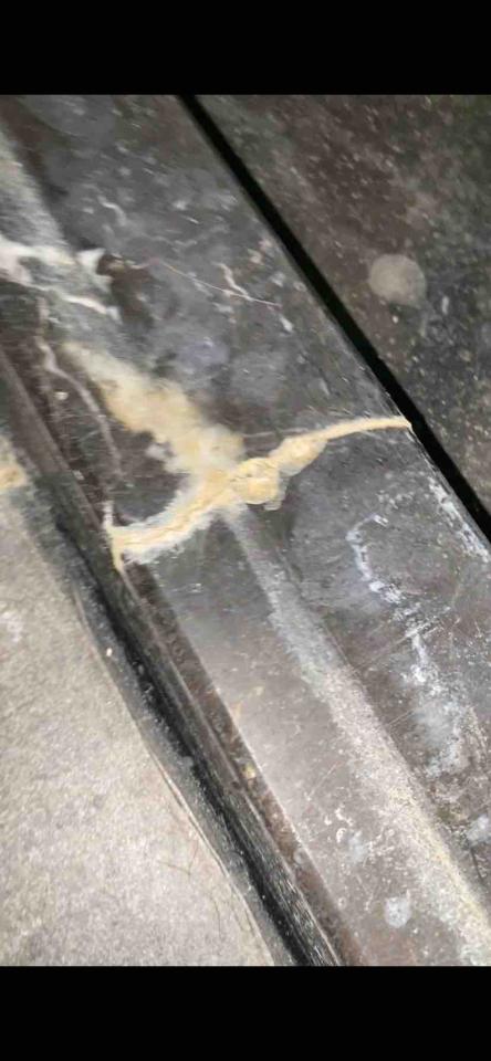 地板拋光打蠟案件圖片