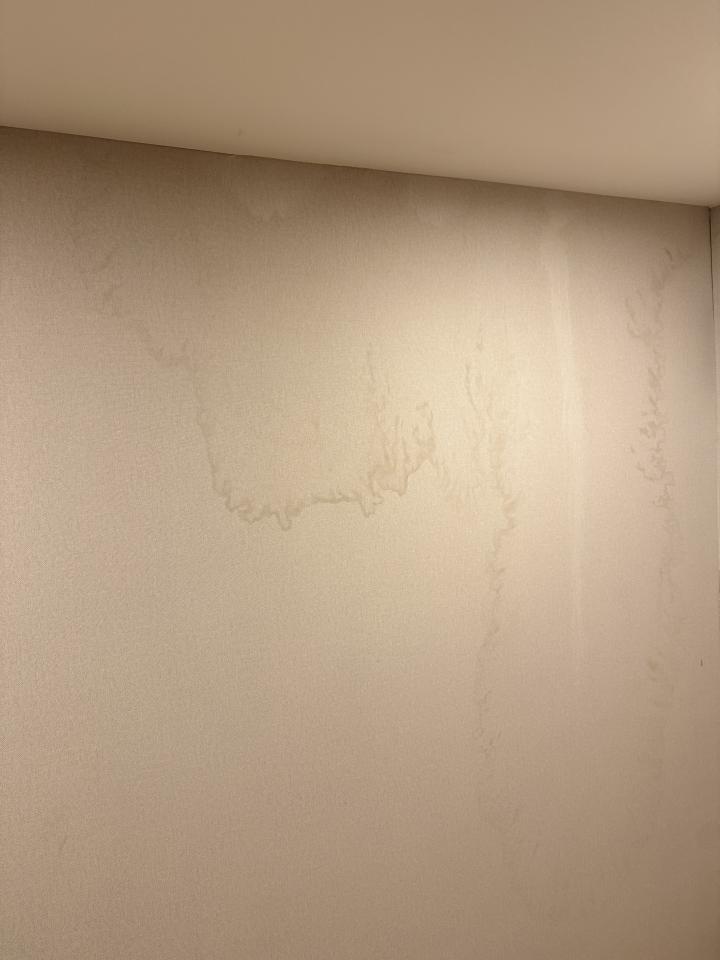 壁紙施工案件圖片