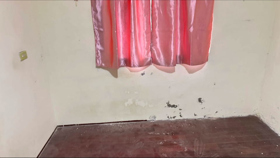 壁癌處理案件圖片