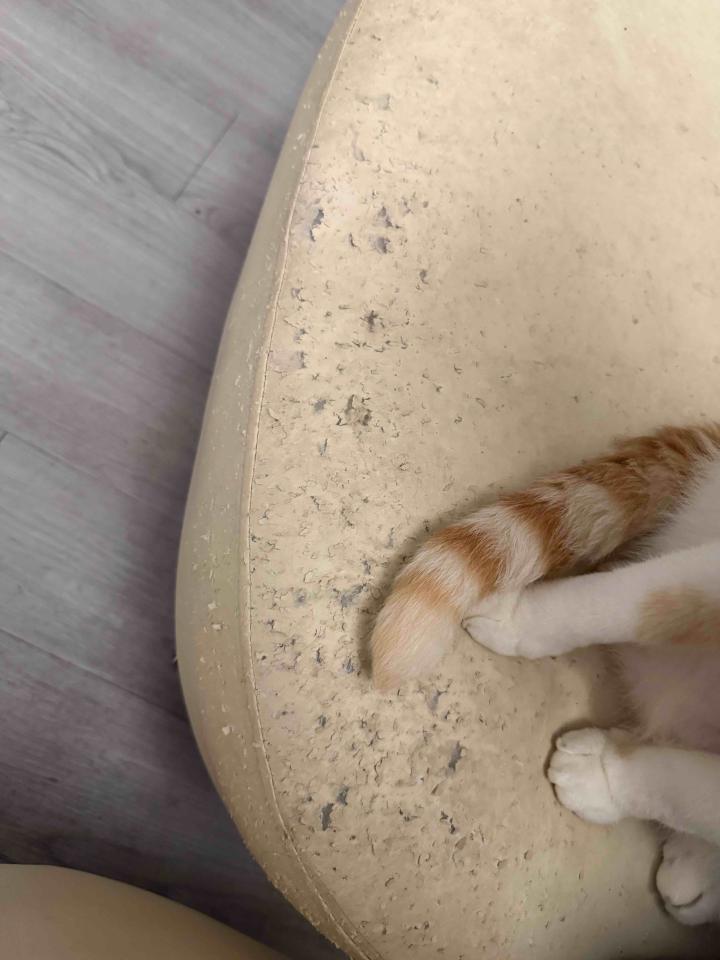 家具維修案件圖片