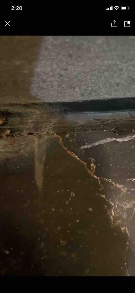 地板拋光打蠟案件圖片