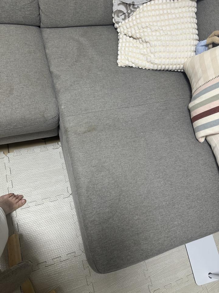 沙發清潔案件圖片