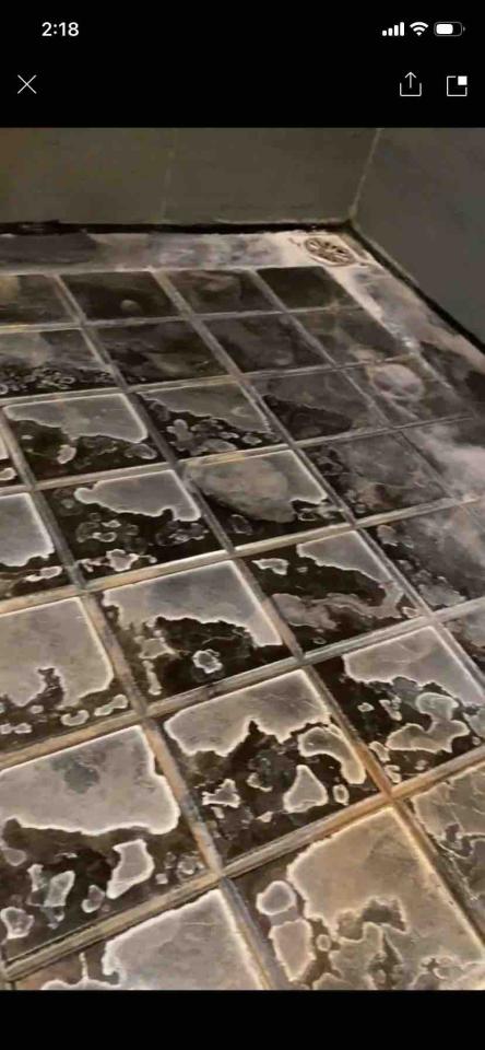 地板拋光打蠟案件圖片