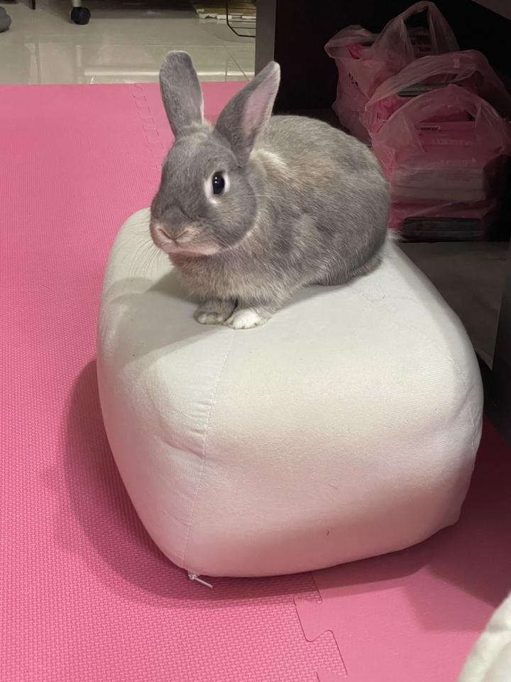 雷射雕刻代工案件圖片