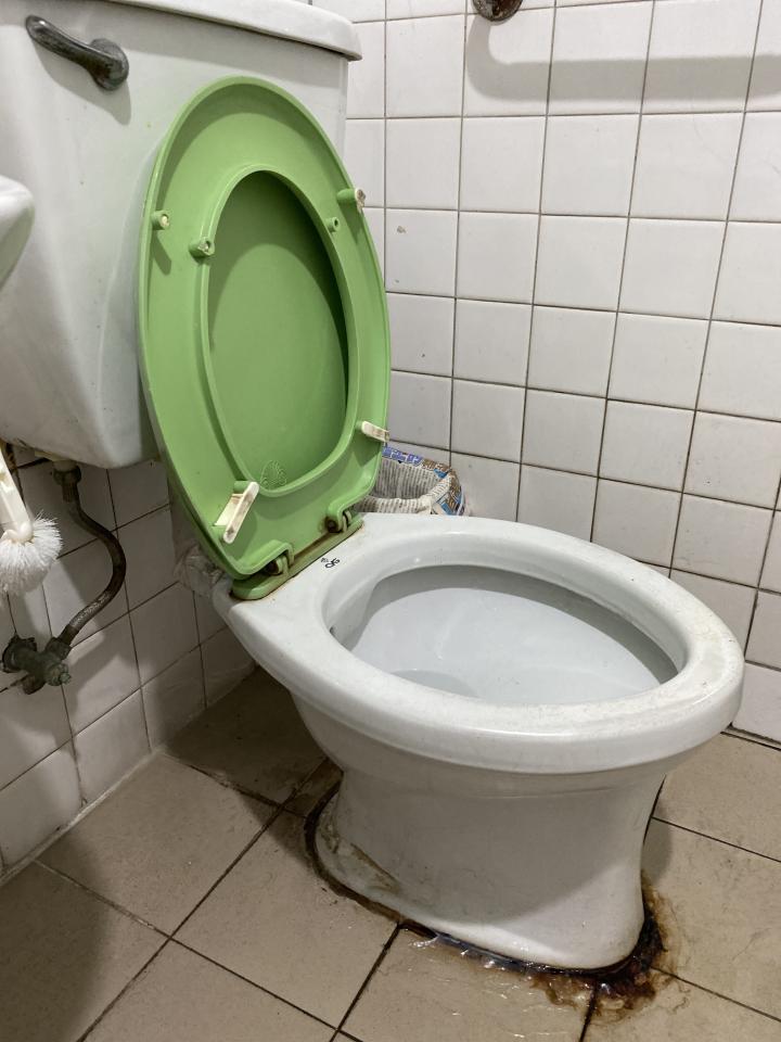 馬桶裝修案件圖片