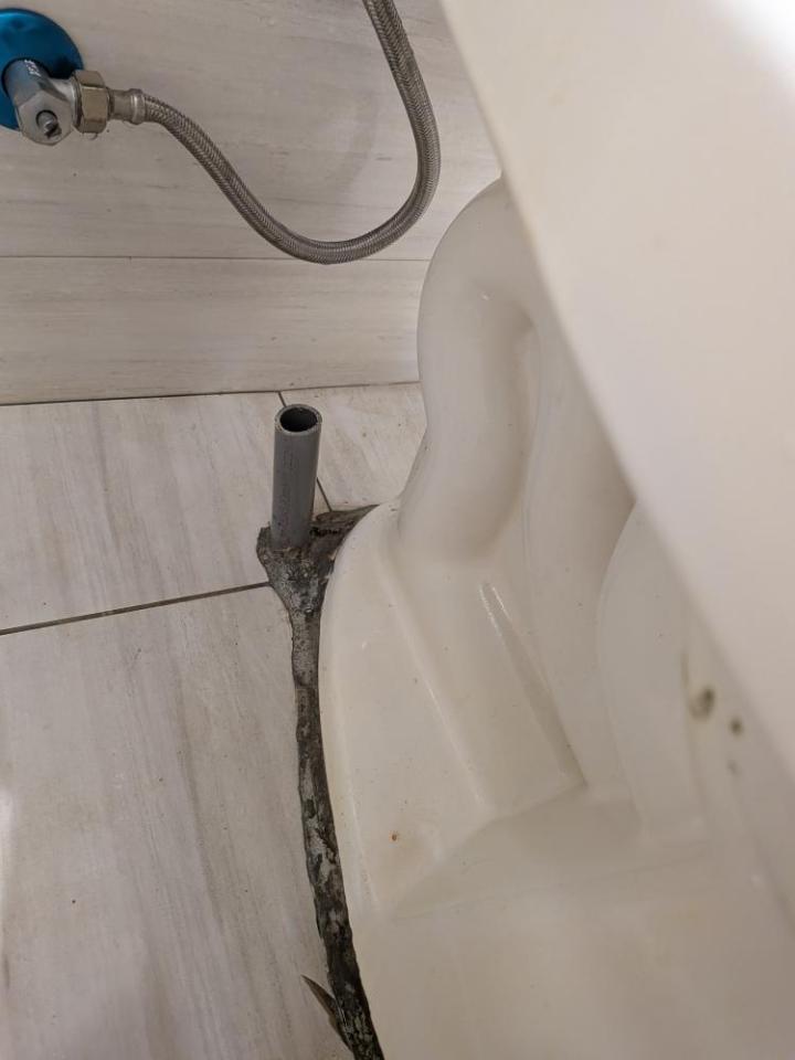 通馬桶案件圖片