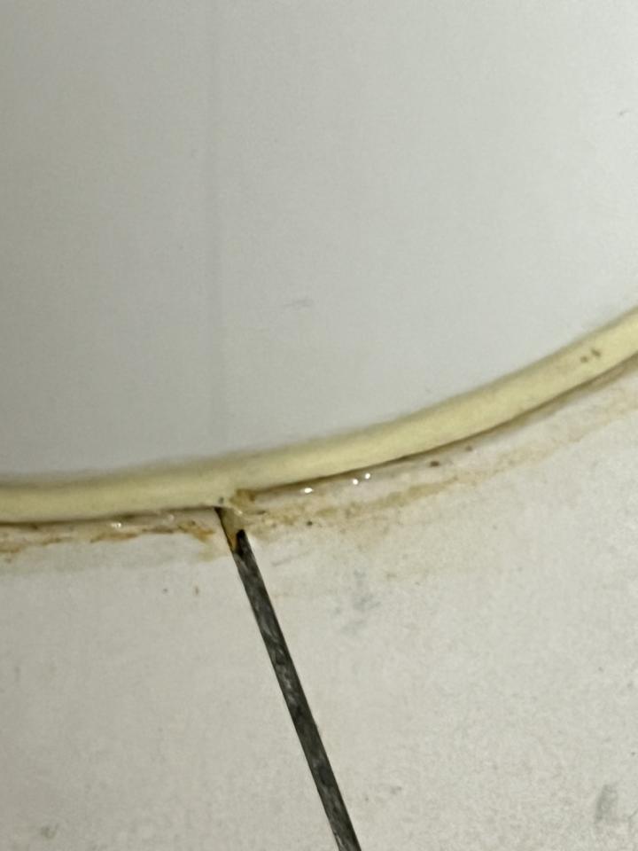 馬桶裝修案件圖片