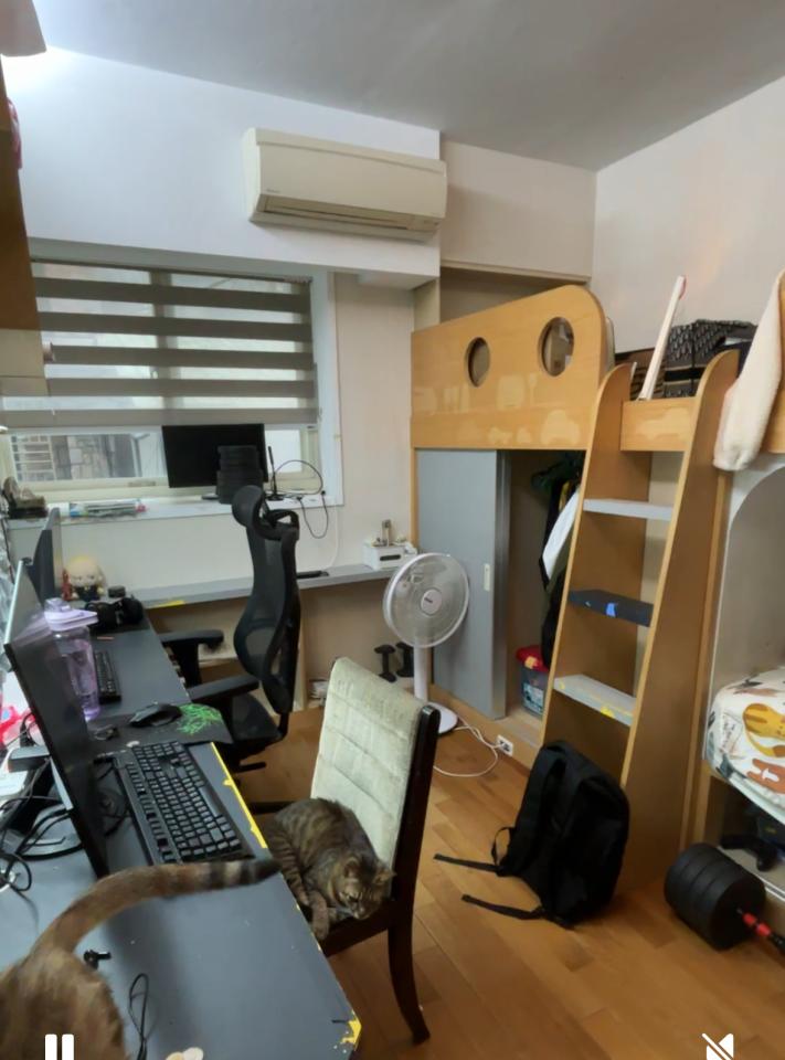 拆除工程案件圖片