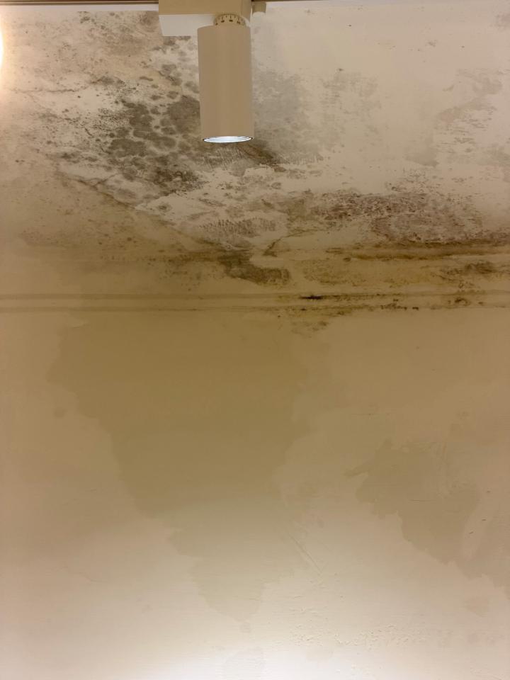 油漆工程案件圖片