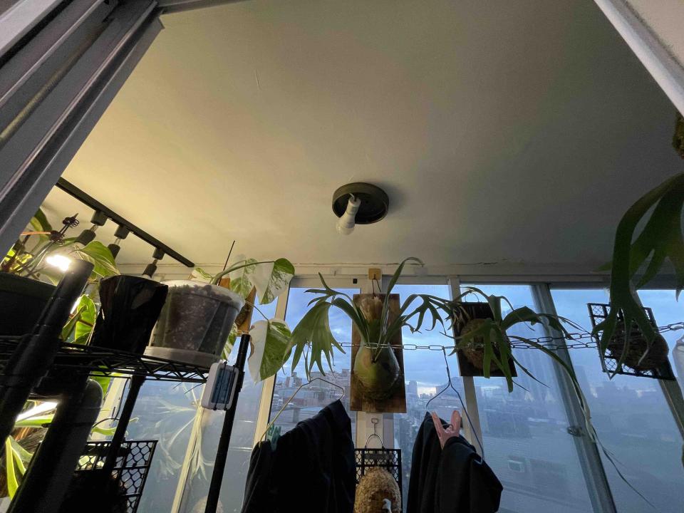 燈具安裝案件圖片