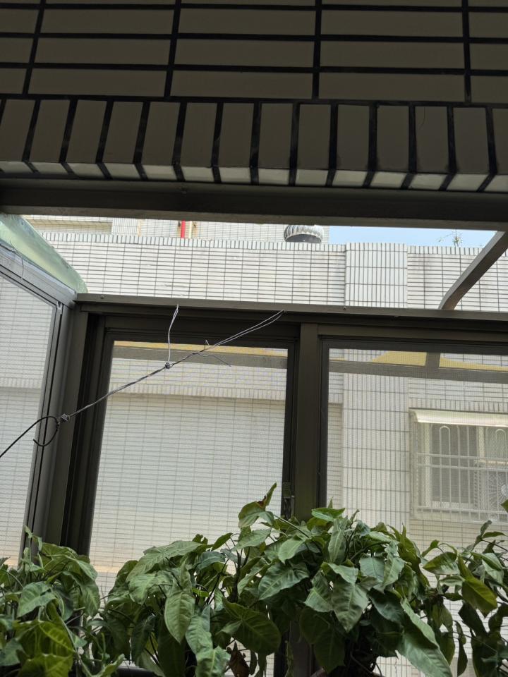 遮陽網工程案件圖片