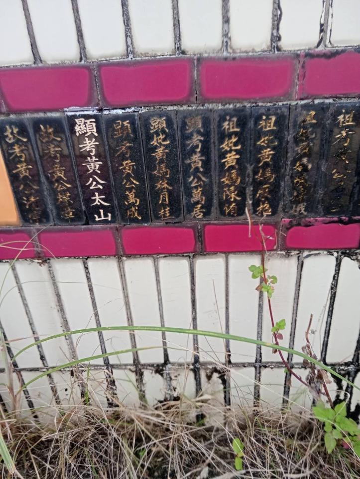 園藝維護案件圖片