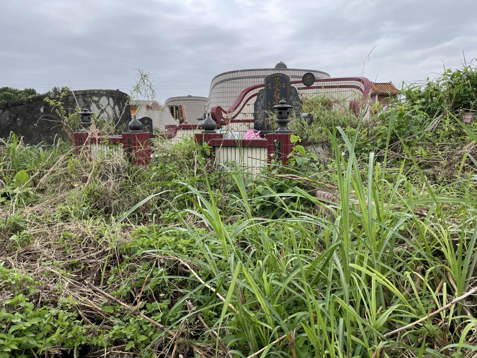 園藝維護案件圖片