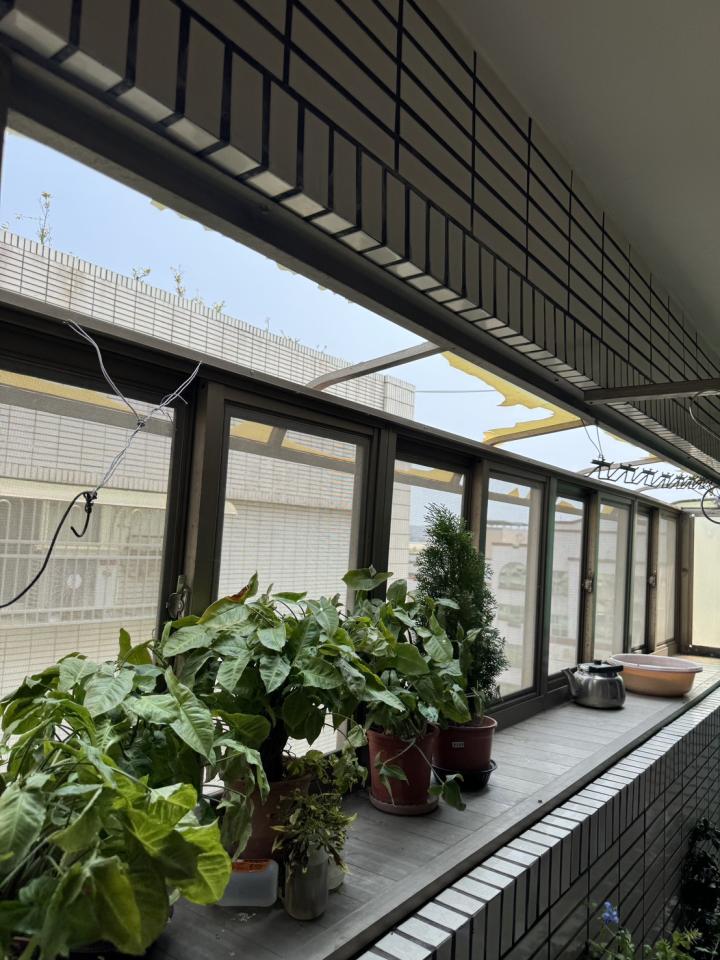 遮陽網工程案件圖片