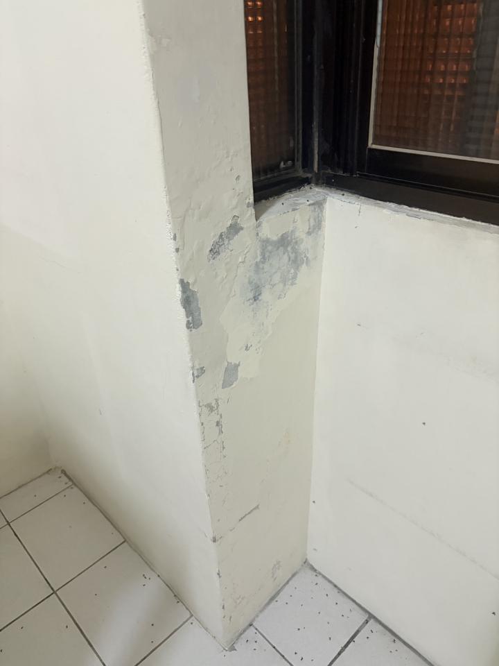 壁癌處理案件圖片