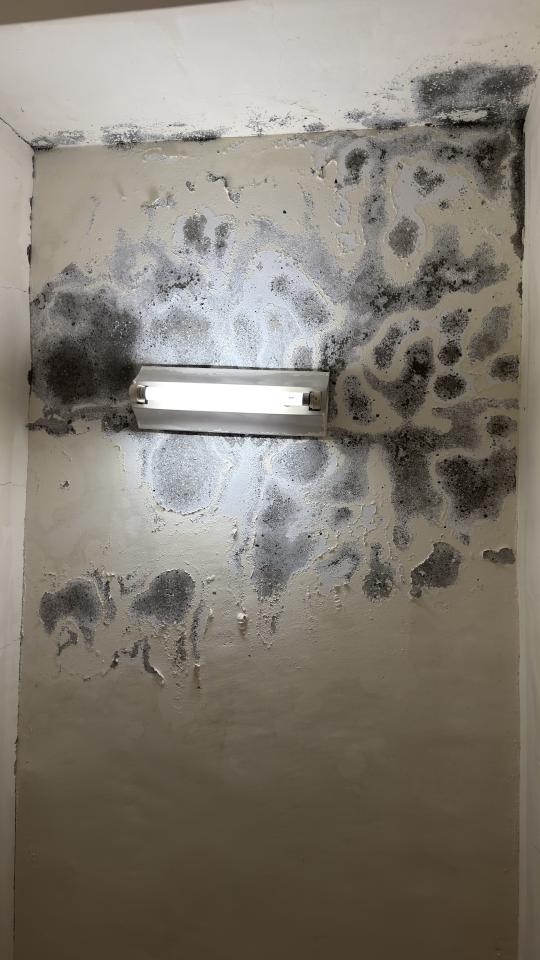 油漆工程案件圖片