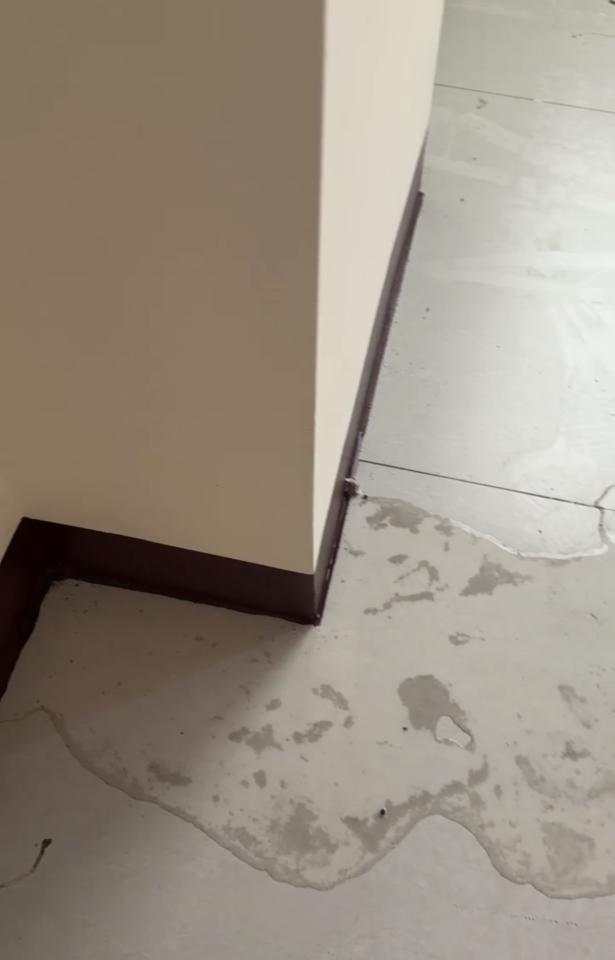 漏水鑑定案件圖片