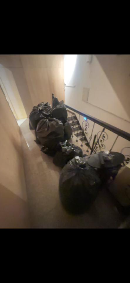 大型垃圾回收案件圖片