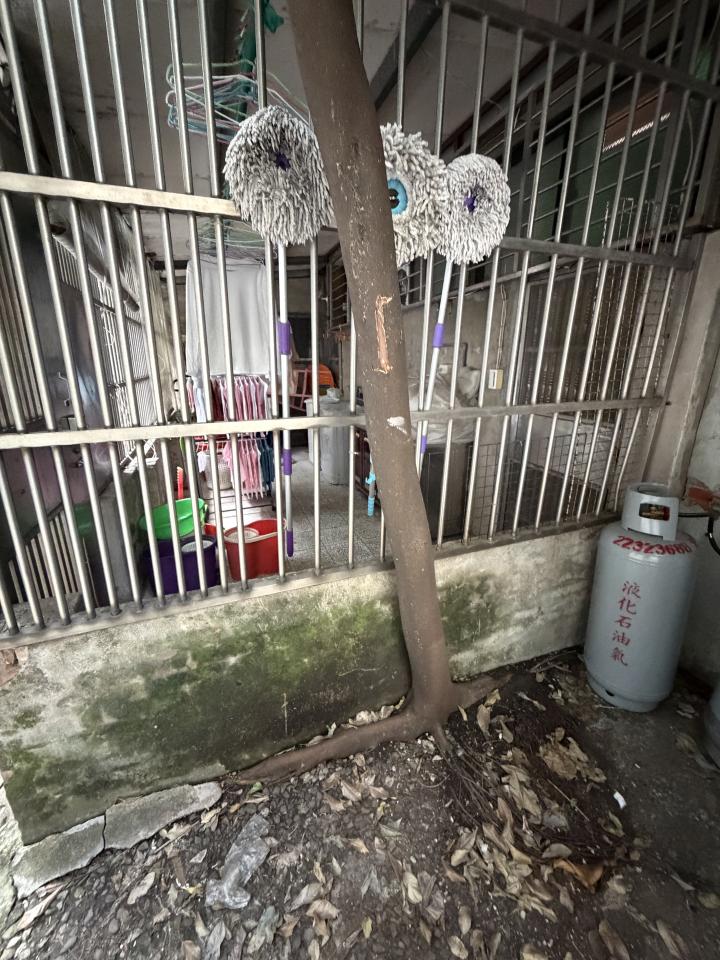 園藝維護案件圖片