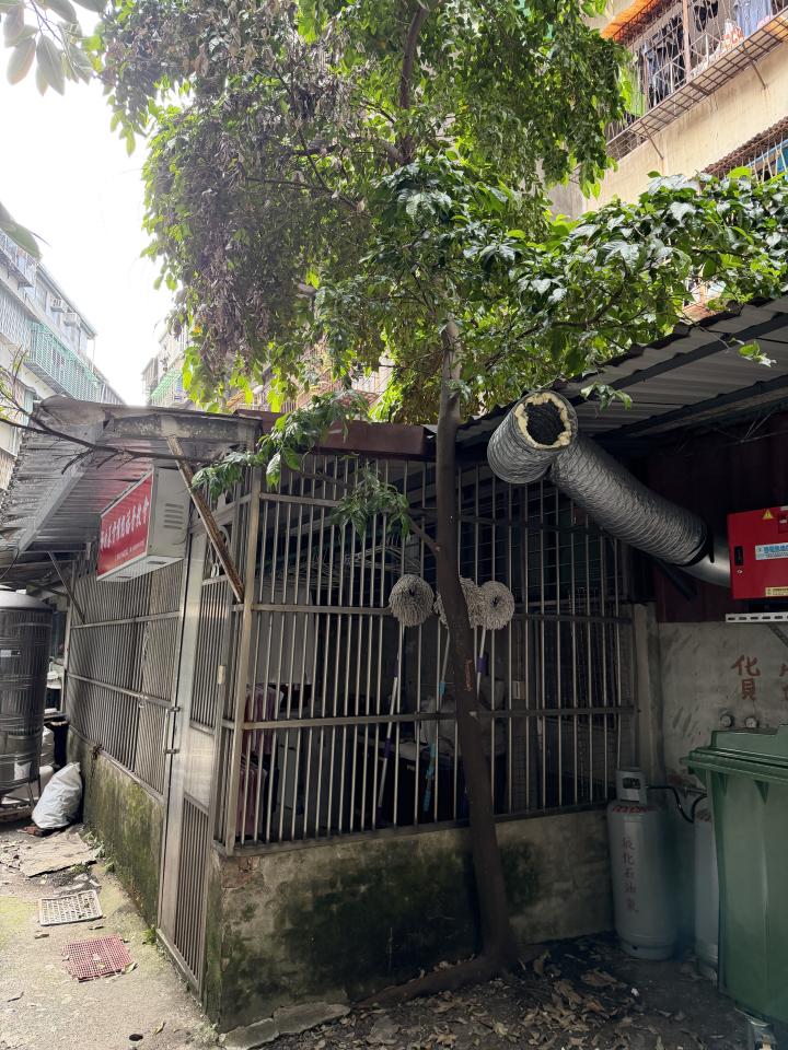 園藝維護案件圖片