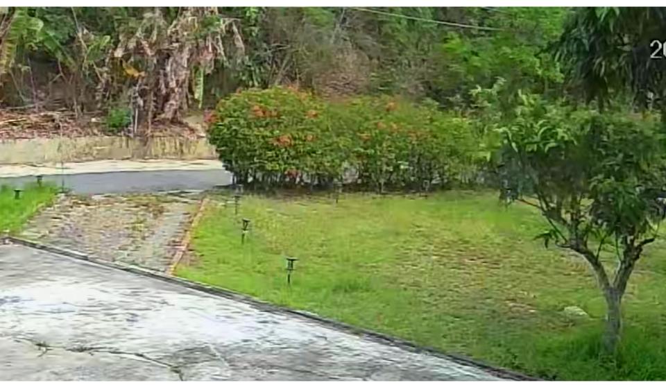 園藝維護案件圖片