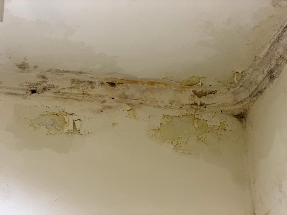 油漆工程案件圖片