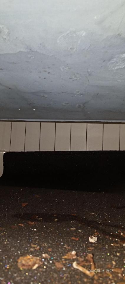 漏水處理案件圖片