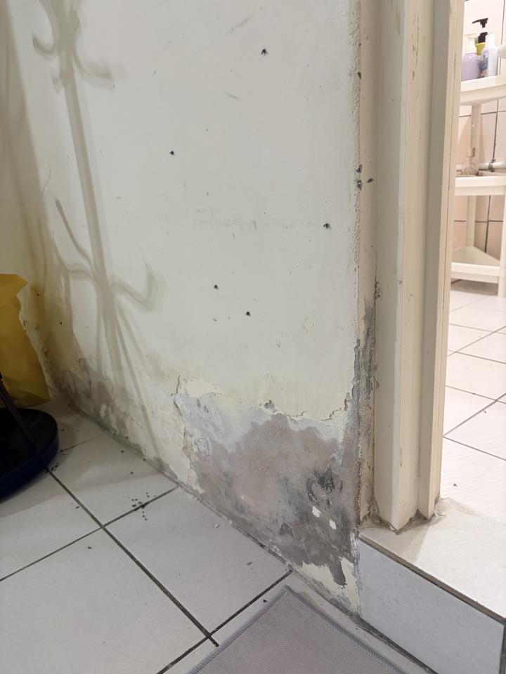 壁癌處理案件圖片