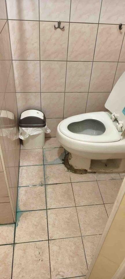 馬桶裝修案件圖片